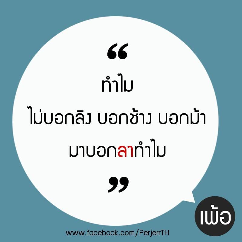 89 ด่าแบบไม่มีคําหยาบ คําคมเกี่ยวกับเสือ – ด่าแบบไม่มีคําหยาบ